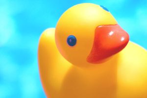 NATIONAL RUBBER DUCKY DAY