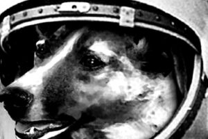 SOVIET FLIGHT SPUTNIK 9 ORBITS EARTH WITH DOG NAMED CHERNUSHKA