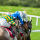 HORSE RACING’S PREAKNESS STAKES