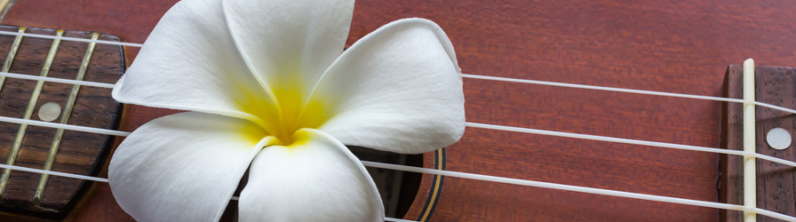 PLAY YOUR UKULELE DAY, FOUR STRING WONDER FROM HAWAII