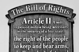 NATIONAL BILL OF RIGHTS DAY